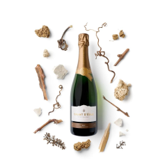 Chant d'Éole Blanc de Blancs Brut - Beste Bubbel in België 2026